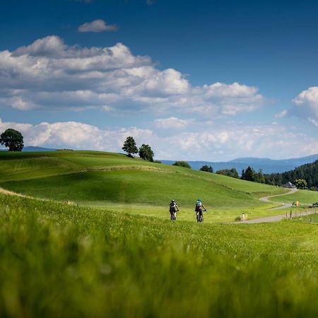 Gartenloft An Der Mur Murau Εξωτερικό φωτογραφία