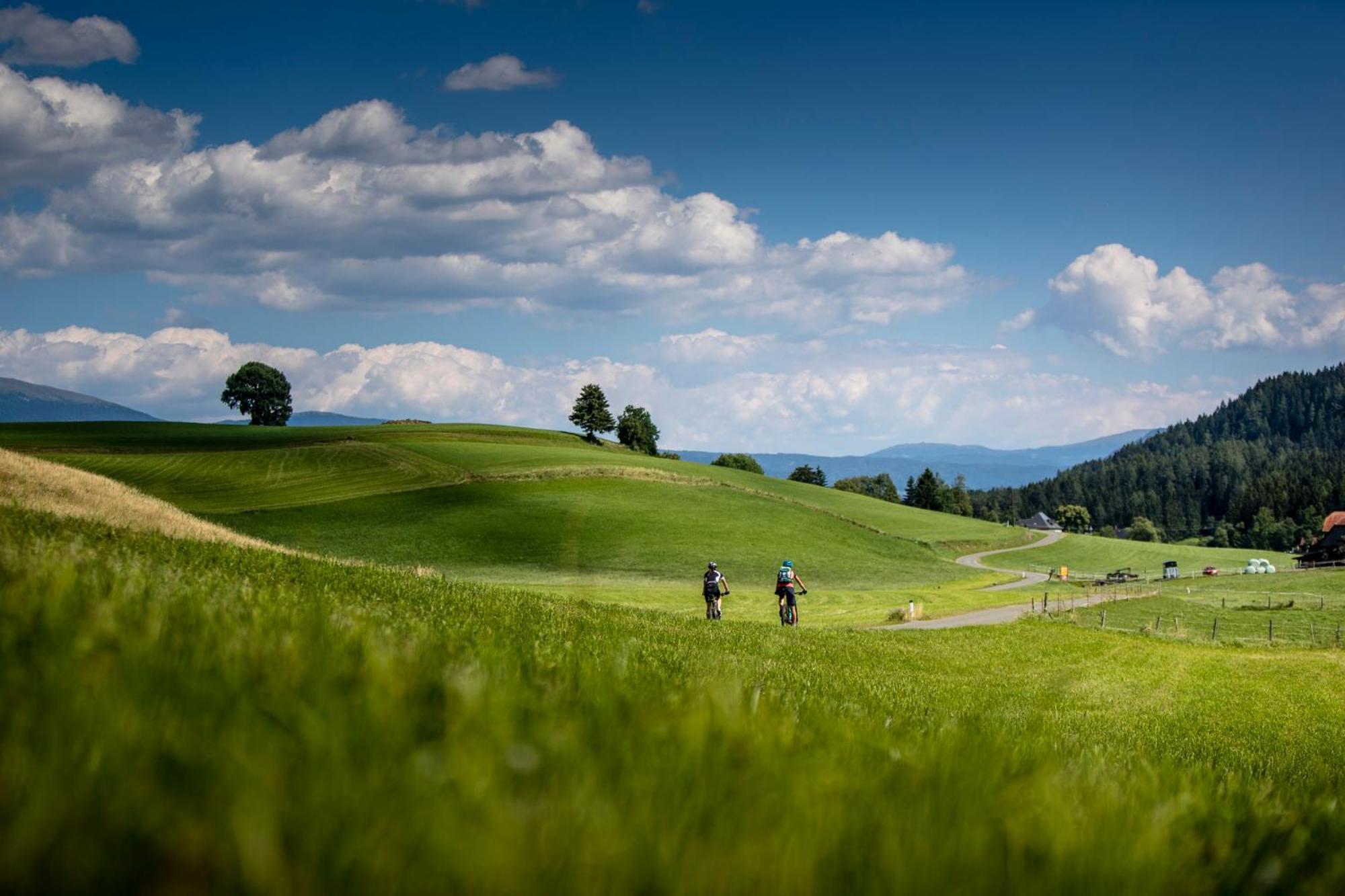 Gartenloft An Der Mur Murau Εξωτερικό φωτογραφία