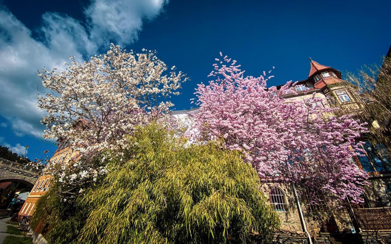 Gartenloft An Der Mur Murau Εξωτερικό φωτογραφία